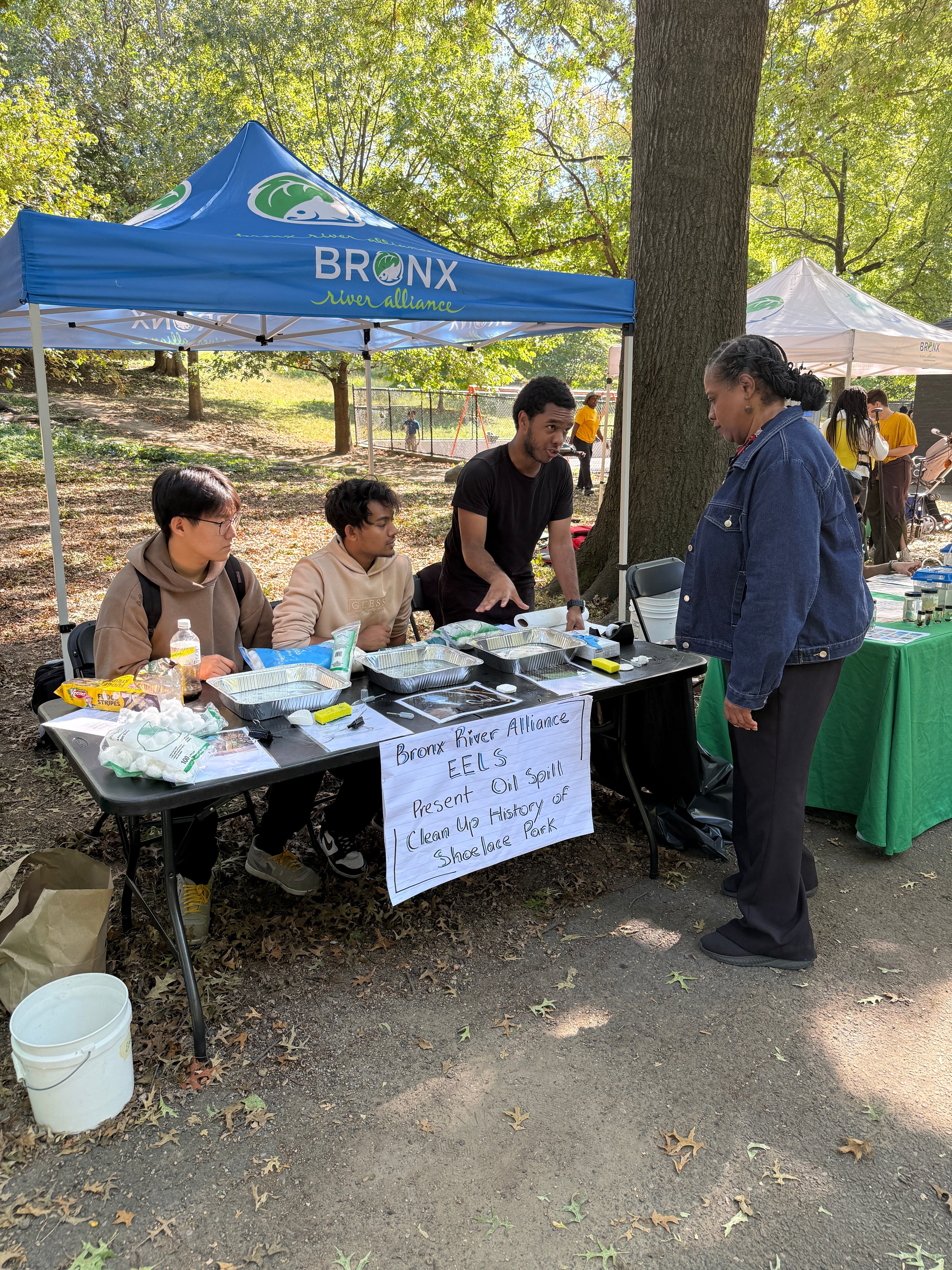 Bronx Alliance Event Shoelace Park