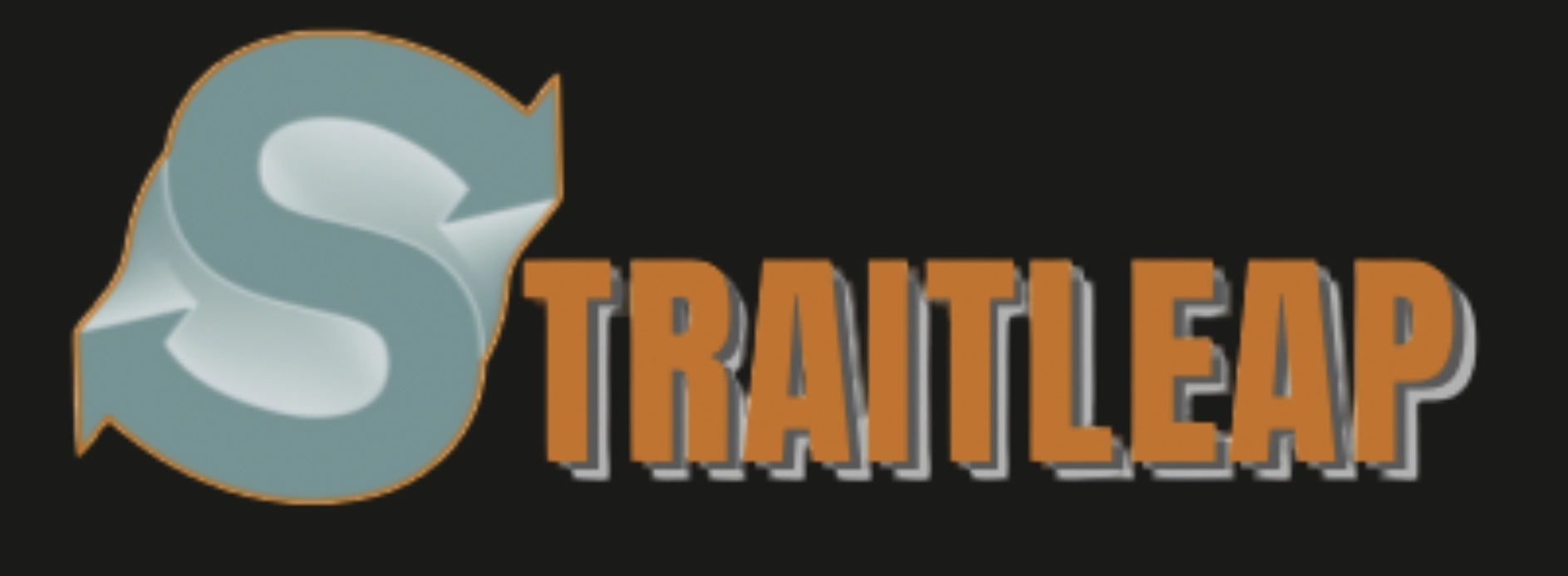 StraitLeap logo
